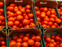David Guibert, chef: "Se o tomate estiver com a cor uniforme e fizer uma leve marca ao apertar, guarde-o com o lado de baixo para baixo"