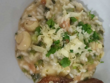 Risoto de brócolis e champignon
