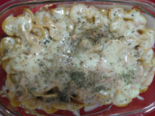 Macarrão gravatinha gratinado
