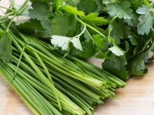 Como lavar e conservar o cheiro-verde: veja as dicas