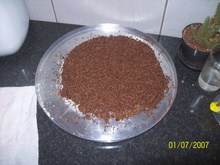Torta de chocolate gelada