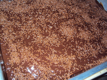 Bolo de chocolate molhado