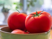 Tem muitos tomates maduros? Veja 3 formas de aproveitá-los antes que estraguem
