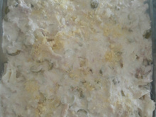 Macarrão ao molho de atum com creme de leite