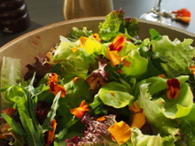 Flores comestíveis: saiba mais sobre elas