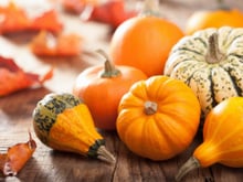 Abóbora: conheça 4 tipos diferentes