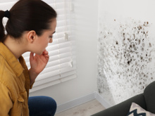 Mofo na parede? Esse simples erro pode estar causando o problema sem você perceber e não estamos falando de infiltração