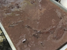 Bolo de chocolate rápido