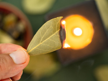 Veja por que você deve queimar folhas de louro em sua casa