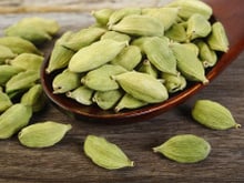 Cardamomo: o que é, onde utilizar e benefícios para a saúde