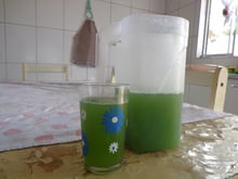 Suco de couve