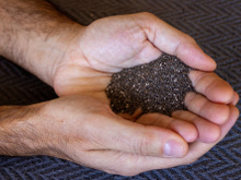 Sou nutricionista e garanto: "essa é a melhor forma de consumir sementes de chia e aproveitar suas proteínas"