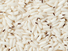 Chega de carunchos na dispensa: esse é o truque que as donas de casa experientes usam para mantê-los afastados da comida