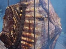 Costela fogo de chão