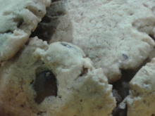 Cookie de Chocolate para a Páscoa