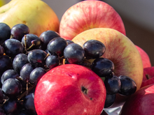 Por que as frutas são as melhores amigas do folião? Aprenda a levar na bolsa sem amassar para aproveitar o Carnaval