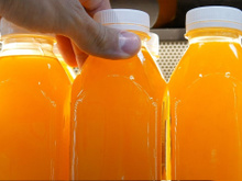 É verdade que o suco de laranja vai sumir dos mercados? TudoGostoso explica o que está acontecendo com a fruta