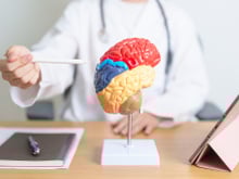 Sou psiquiatra nutricional de Harvard e garanto: "Existe uma vitamina essencial para manter nosso cérebro jovem e saudável"