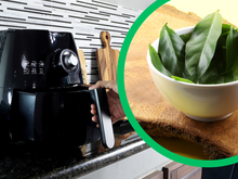 Farinha de Ora-pro-nóbis na airfryer: ingrediente perfeito para receitas de pães, bolos e doces nutritivos