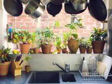 6 itens de decoração que muitos colocam na cozinha mas não deveriam