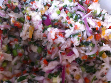 Ceviche (Peixe Cru)