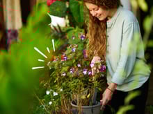 A sua planta vai explodir de tanto crescer com esse adubo caseiro: dica simples e fácil de fazer