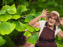 A vovó já falava dos benefícios dessa planta milenar e não é mito: entenda como o ginkgo biloba pode ajudar a sua saúde