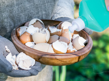 Pouca gente conhece esse truque caseiro que mistura detergente com casca de ovo triturada (sua louça ficará fabulosa!)