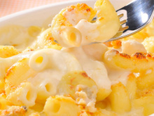 Hoje temos uma opção incrivelmente deliciosa: um macarrão com queijo para a família que pode ser feito com ou sem a camada crocante por cima