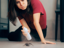As formigas desaparecerão se um repelente natural for borrifado nas casas, e não é vinagre