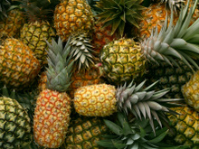 Tradicional no Amapá, Festival do Abacaxi de Porto Grande terá 3 dias de shows