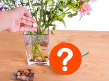 O que acontece quando você coloca uma moeda no fundo do vaso de flores?