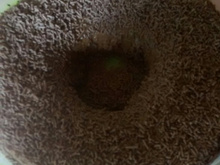 Brigadeirão de leite de coco