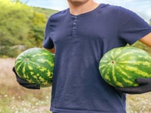 Capital da melancia: essa cidade brasileira com 14 mil habitantes produz toneladas da fruta todos os anos e atrai turistas