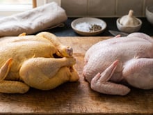 Frango com pele amarela ou pele branca? O TudoGostoso te explica a diferença e qual você deve comprar