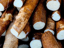 Previne doenças cardíacas, aumenta a imunidade e controla a diabetes: descubra os benefícios da mandioca