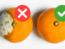 Não adianta escolher a laranja certa no mercado e guardar do jeito errado: evite esse erro comum que acaba mofando a fruta