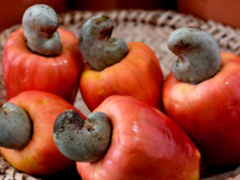 Aumenta a imunidade, ajuda na perda de peso e melhora a saúde do coração: os benefícios do caju