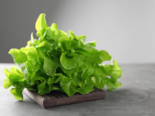 Como conservar alface na geladeira por mais tempo