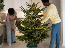 A sua decoração natalina com LED nunca dá certo? Veja como escolher o cordão de LED certo para a sua árvore de Natal com dicas de uma especialista