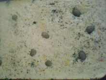 Omelete de frango ao forno