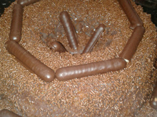 Bolo de cenoura da Gi