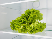 Um truque de chef para manter a alface fresca por mais de 60 dias sem complicar sua vida