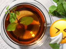 Chá para males do inverno: a planta que cura resfriados, reduz febre e combate a congestão nasal e pulmonar