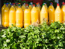 Tucupi: saiba mais e confira 6 receitas com ele