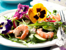 7 benefícios das flores na alimentação