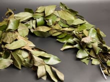 Minha vizinha sempre queima folhas de louro em casa, tive que perguntar por que ela faz isso e agora faço também