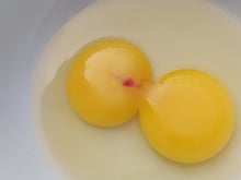 Descubra o que significa uma mancha vermelha na clara do ovo: saiba o que é e se representa algum risco à saúde