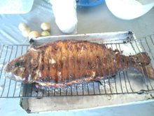 Piauçu a Pantaneira