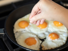 Manhã, meio-dia ou noite: qual é o melhor horário para comer ovos?